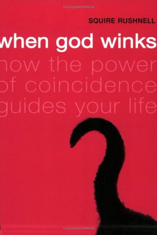 Cover Art for 9780743248419, When God Winks: How the Power of Coincidence Guides Your Life by SQuire Rushnell