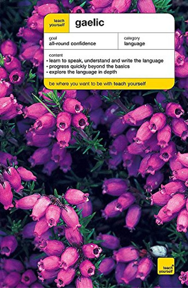 Cover Art for 9780340906262, Teach Yourself Gaelic by Boyd Robertson, Iain Taylor