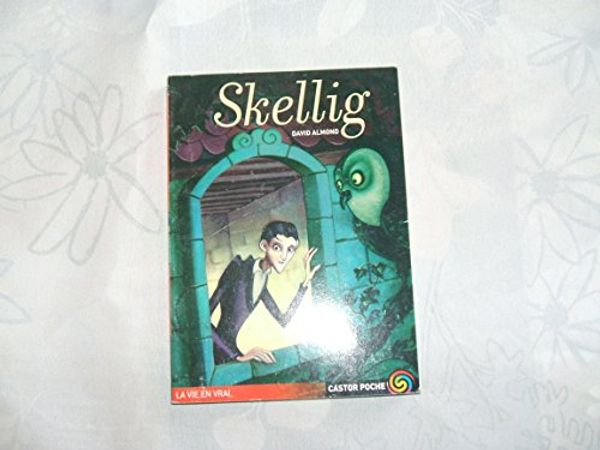 Cover Art for 9782081645813, Skellig by David Almond