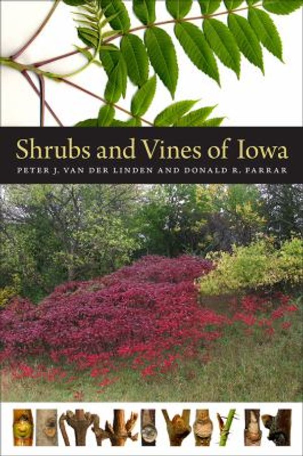 Cover Art for 9781609383978, Shrubs and Vines of IowaBur Oak Guide by Peter J. Van Der Linden,Donald R. Farrar