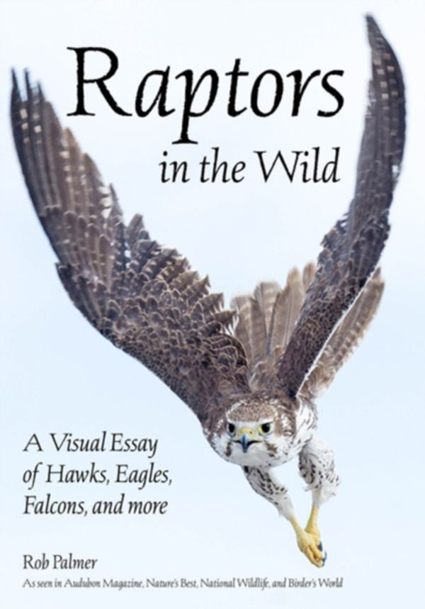 Cover Art for 9781682033623, Raptors In The WildA Visual Essay of Hawks, Eagles, Falcons, and m... by Rob Palmer