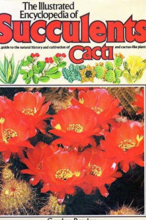 Cover Art for 9780517533093, The Illustrated Encyclopedia of Succulents (Salamander Book) by Gordon Rowley