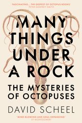 Cover Art for 9781529392616, Many Things Under a Rock: The Mysteries of Octopuses by David Scheel