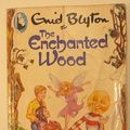 Cover Art for 9780600331681, Enchanted Wood (Beaver Books) by Enid Blyton