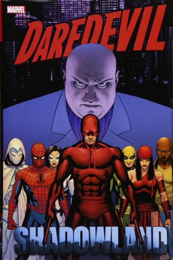 Cover Art for 9781302910372, Daredevil: Shadowland Omnibus by Andy Diggle