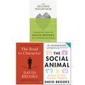 Cover Art for 9789123797554, David Brooks Collection 2 Books Set (The Second Mountain [Hardcover], The Road to Character, The Social Animal) by David Brooks