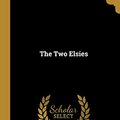 Cover Art for 9780530931616, The Two Elsies by Martha Finley