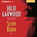 Cover Art for 9781597108775, Slow Burn by Julie Garwood