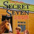 Cover Art for 9780340569948, Fun for the Secret Seven by Enid Blyton