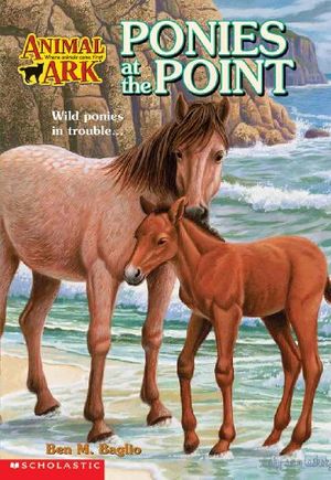 Cover Art for 9780613169905, Ponies at the Point by Ben M. Baglio