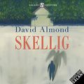Cover Art for B095J2CHSD, Skellig by David Almond