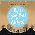 Cover Art for 9780755382194, When God Was a Rabbit by Sarah Winman