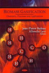 Cover Art for 9781607414612, Biomass Gasification by Jean-pierre Badeau