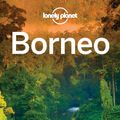 Cover Art for 9781742202969, Borneo by Lonely Planet, Daniel Robinson, Adam Karlin, Paul Stiles
