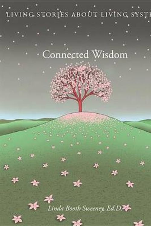 Cover Art for 9780982248010, Connected Wisdom: Living Stories about Living Systems by Linda Booth Sweeney