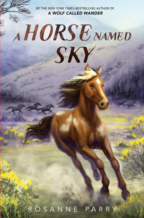 Cover Art for 9780062995971, A Horse Named Sky by Kirbi Fagan