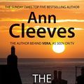 Cover Art for 9781444837049, The Seagull by Ann Cleeves