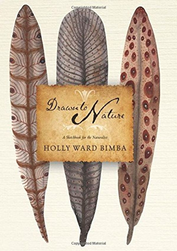 Cover Art for 9781631060823, Drawn to NatureA Sketchbook for the Naturalist by Holly Ward Bimba