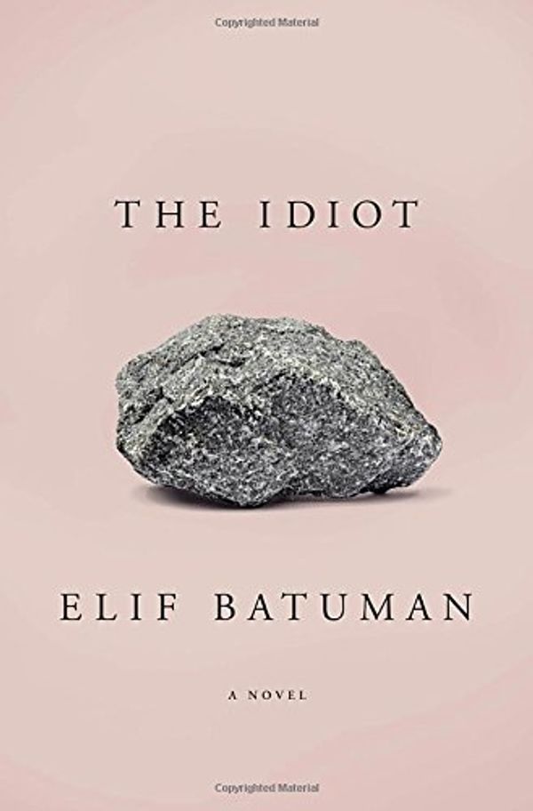 Cover Art for 9781594205613, The Idiot by Elif Batuman