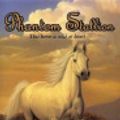 Cover Art for 9780061888397, Phantom Stallion #1: The Wild One by Terri Farley
