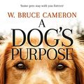 Cover Art for B006OY1MH6, A Dog's Purpose by W. Bruce Cameron