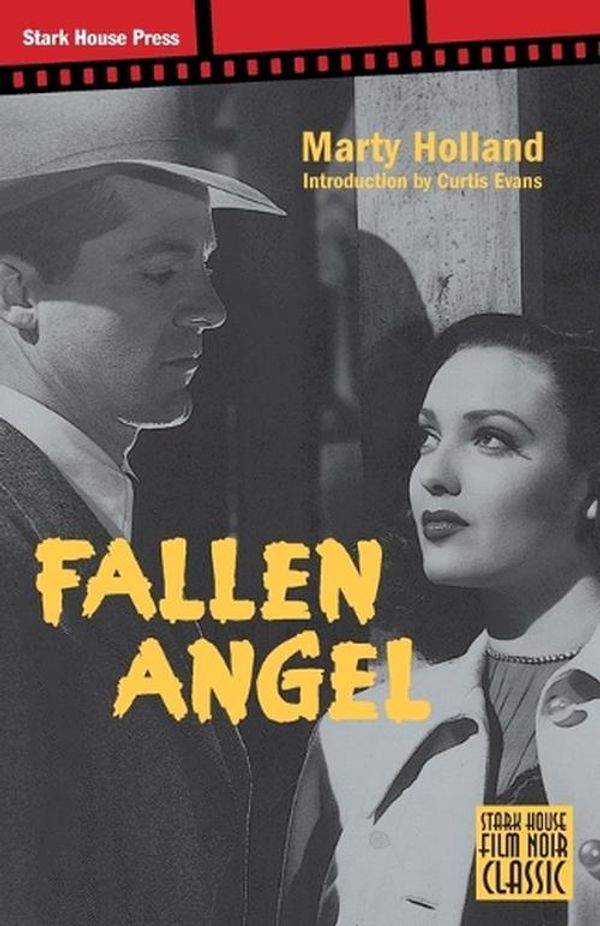 Cover Art for 9798886010190, Fallen Angel by Marty Holland