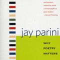 Cover Art for 9780300151466, Why Poetry Matters by Jay Parini