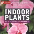 Cover Art for 9780007164073, Indoor plants by Lia Leendertz