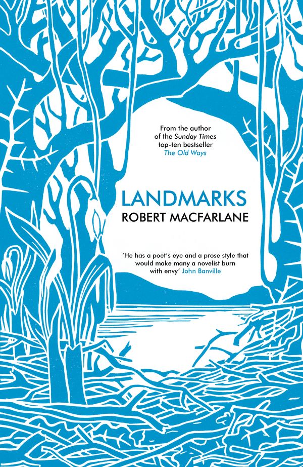 Cover Art for 9780241146538, Landmarks by Robert Macfarlane