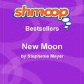 Cover Art for 9781610620017, New Moon by Shmoop