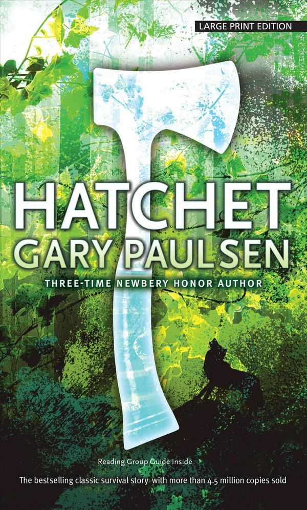 Cover Art for 9781410499196, Hatchet by Gary Paulsen