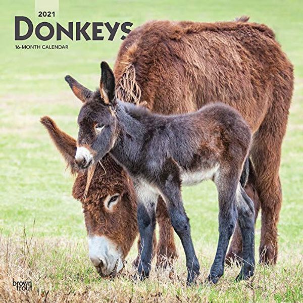 Cover Art for 9781975420932, Donkeys 2021 12 x 12 Inch Monthly Square Wall Calendar, Domestic Animals by BrownTrout Publishers Inc.