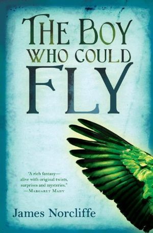 Cover Art for 9781606840849, The Boy Who Could Fly by James Norcliffe