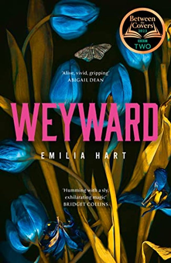 Cover Art for B09RDVVDHN, Weyward by Emilia Hart