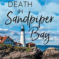 Cover Art for 9798201624828, Death in Sandpiper Bay (1) by Traci Hall, Patrice Wilton