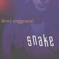 Cover Art for 9780957873575, Snake by Dewi Anggraeni