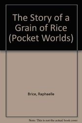 Cover Art for 9781851030163, The Story of a Grain of Rice by Raphaelle Brice