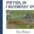 Cover Art for 9780863154980, Peter in Blueberry Land by Elsa Beskow