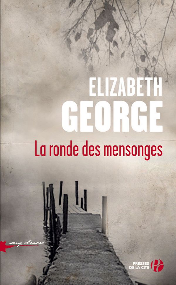Cover Art for 9782258094642, La Ronde des mensonges by Elizabeth GEORGE, Isabelle CHAPMAN