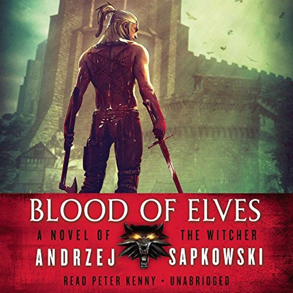 Cover Art for 9781478933816, Blood of Elves (Witcher) by Andrzej Sapkowski
