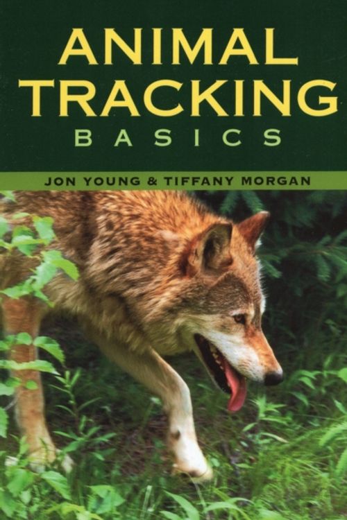 Cover Art for 9780811733267, Animal Tracking Basics by Jon Young