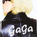 Cover Art for 9783442313136, Lady Gaga x Terry Richardson by Terry Richardson, Lady Gaga
