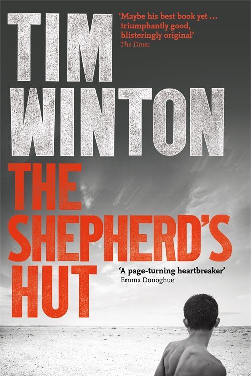 Cover Art for 9781509864133, The Shepherd's Hut by Tim Winton