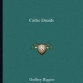 Cover Art for 9781162562445, Celtic Druids by Godfrey Higgins