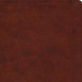 Cover Art for 9781433563553, ESV Study Bible (Trutone, Chestnut) by Crossway