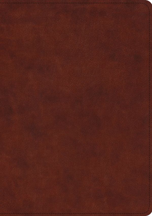 Cover Art for 9781433563553, ESV Study Bible (Trutone, Chestnut) by Crossway