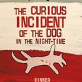 Cover Art for 8601418227335, The Curious Incident of the Dog in the Night-Time by Mark Haddon