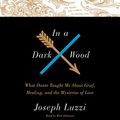 Cover Art for 9781504611527, In a Dark Wood: What Dante Taught Me about Grief, Healing, and the Mysteries of Love by Joseph Luzzi