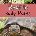 Cover Art for 9781406298024, Reptile Body PartsRead and Learn: Animal Body Parts by Clare Lewis