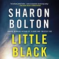 Cover Art for 9781250028594, Little Black Lies by Sharon Bolton